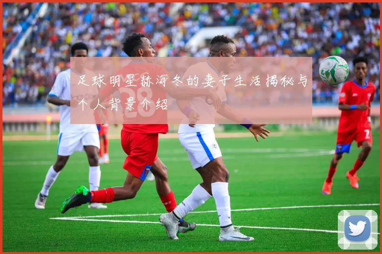 足球明星赫海冬的妻子生活揭秘与个人背景介绍