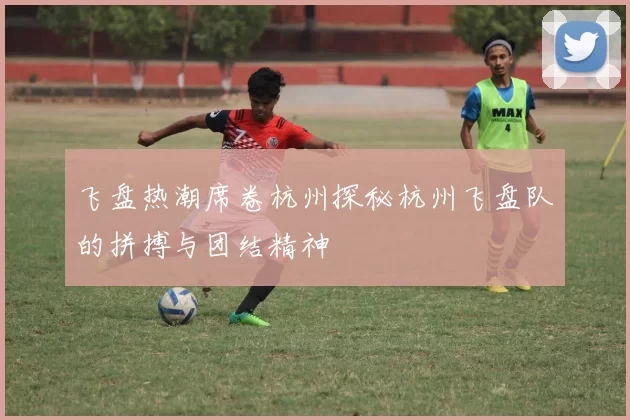 飞盘热潮席卷杭州探秘杭州飞盘队的拼搏与团结精神