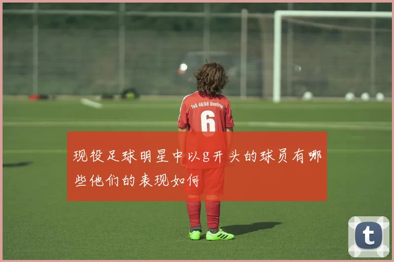 现役足球明星中以g开头的球员有哪些他们的表现如何