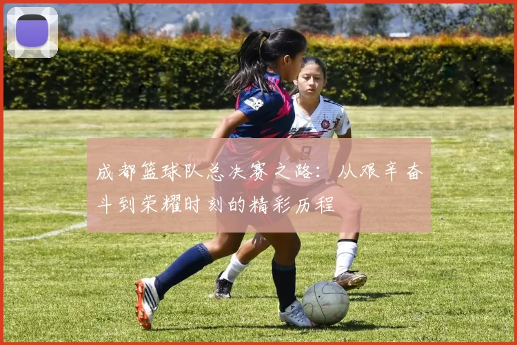 成都篮球队总决赛之路：从艰辛奋斗到荣耀时刻的精彩历程