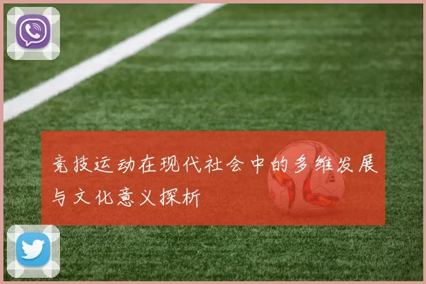 竞技运动在现代社会中的多维发展与文化意义探析
