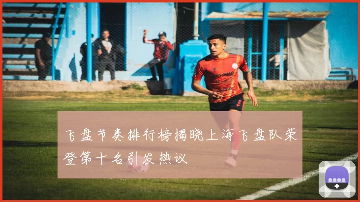 飞盘节奏排行榜揭晓上海飞盘队荣登第十名引发热议