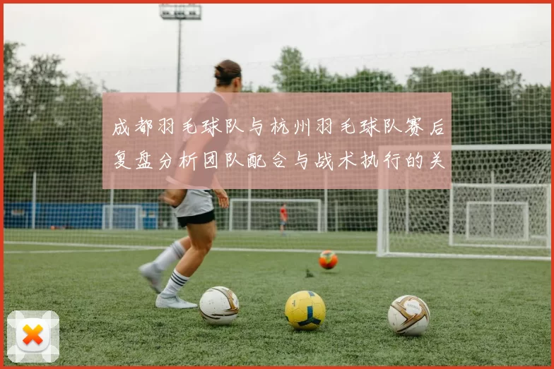 成都羽毛球队与杭州羽毛球队赛后复盘分析团队配合与战术执行的关键因素